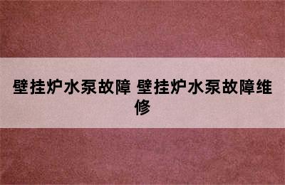 壁挂炉水泵故障 壁挂炉水泵故障维修